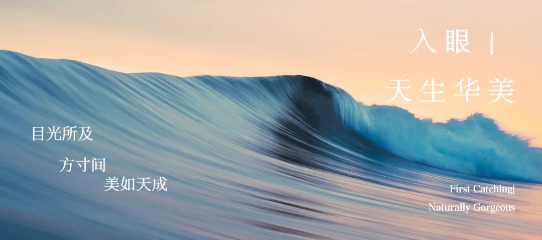 1658890535972269.jpg 5.jpg